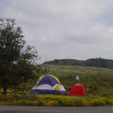 New State Park Camping Reservation System