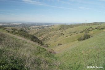 Action Needed in Yorba Linda
