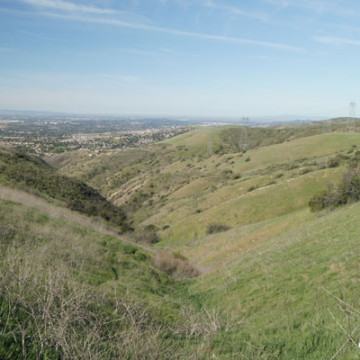 OpEd on Esperanza Hills