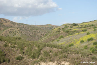 Esperanza Hills Grading Application Denied