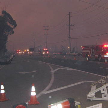 Chino Hills State Park Fire Recovery