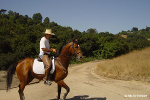 Powder Canyon - Equestrian