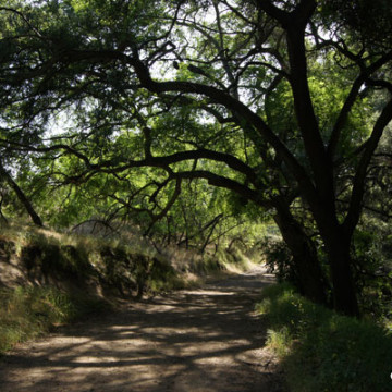 Powder Canyon