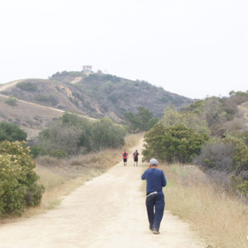 Turnbull Canyon