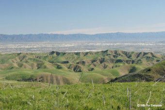Rep. Cisneros Op Ed