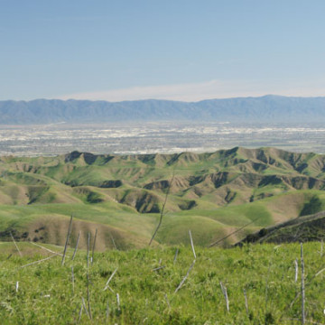 Rep. Cisneros Op Ed