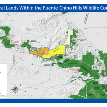 Putting Nature on the Map