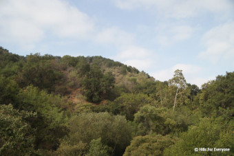 Possible Permanent Trailhead Closure