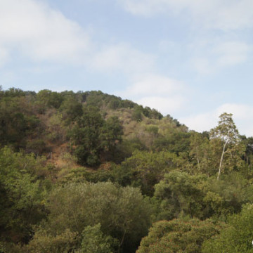 Possible Permanent Trailhead Closure