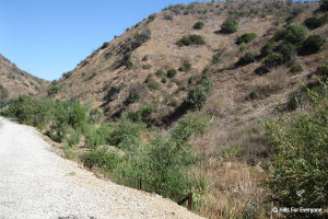 Carbon Creek flowing freely, without Arundo donax