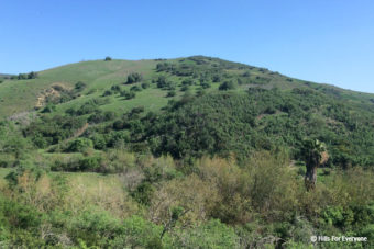 Esperanza Hills Loss/Win