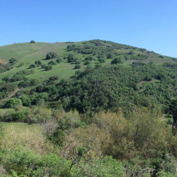 Esperanza Hills Before Board of Supervisors