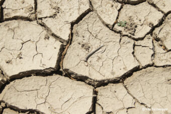 Where’s the Water?