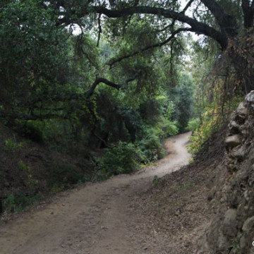 Some Preserve Trails Reopen