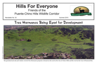 Summer Newsletter Released