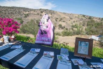 Silent Auction Items Requested