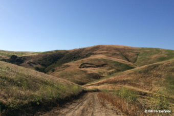 Rain Closes Trails