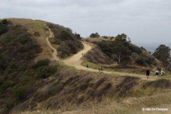 Hellman Park Taking a Beating, Residents Upset with Visitors