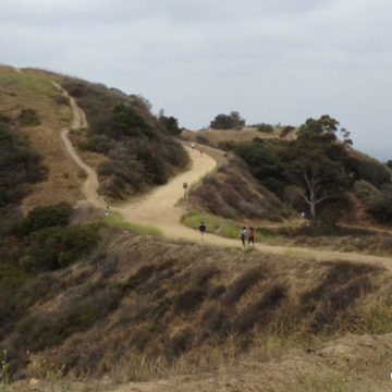 Hellman Park Taking a Beating, Residents Upset with Visitors