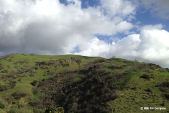 State Park Benefits From Mitigation Program