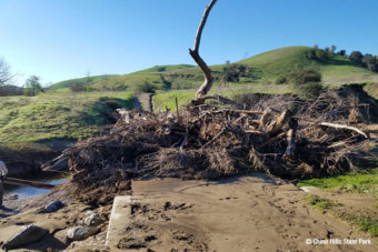 Why Staying Off Wet Trails Matters