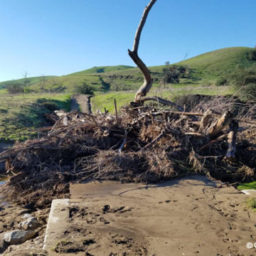 State Park Trails & Streams Overcome by Rain