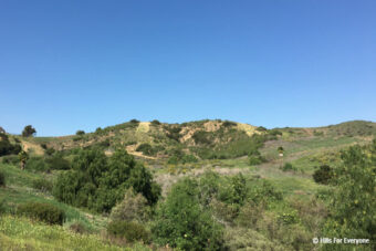 Cielo Vista Moves Forward, Esperanza Hills Refuses Board Recommendations