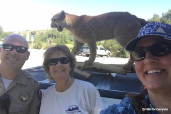 Fun at the Brea Centennial Parade