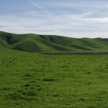 Chino Hills Approves Conservation Deal