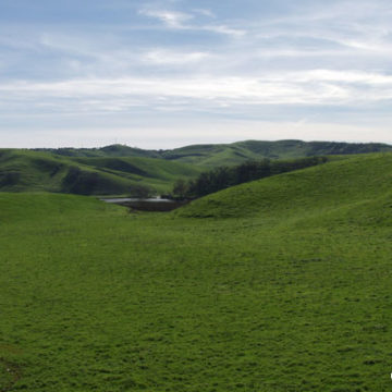 Chino Hills Explains Its Approach