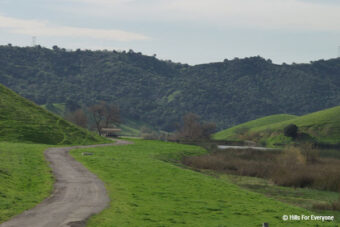 Diamond Bar & Chino Hills Challenge Industry Purchase