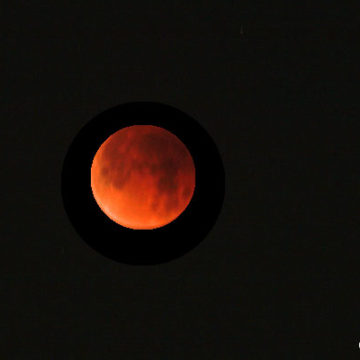 Super Flower Blood Moon Eclipse