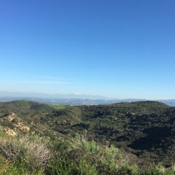 Laguna Coast Connects to Forest Now