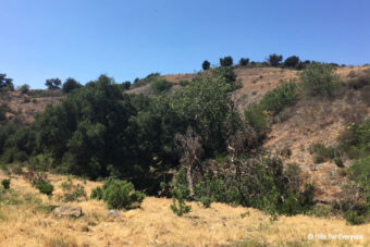 Soquel Canyon Mitigation Bank Tour