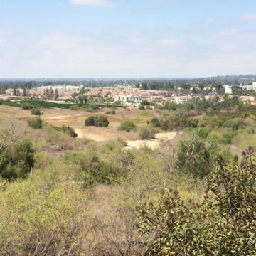 Houses Proposed by Aera in Brea