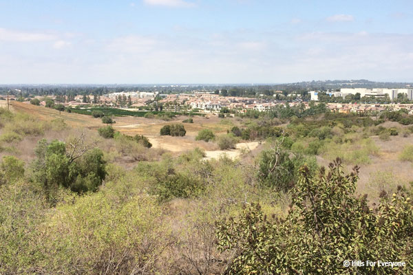 Houses Proposed by Aera in Brea