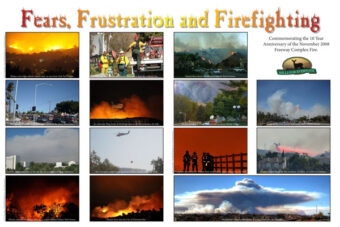Fears, Frustration, and Firefighting