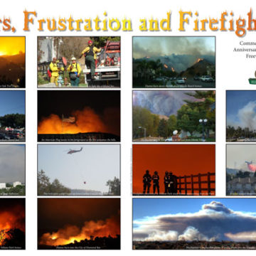 Fears, Frustration, and Firefighting