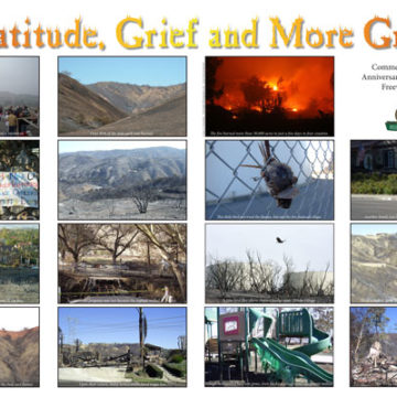 Grief, Gratitude and More Grief