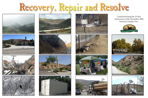 Recovery, Repair and Resolve