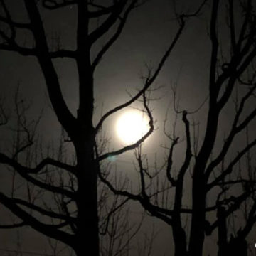 Eclipse Covered by Clouds