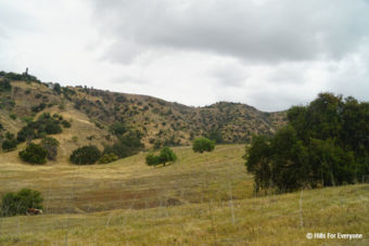 Hidden Oaks