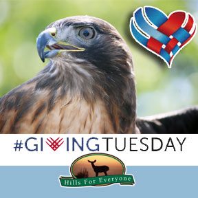 Giving Tuesday