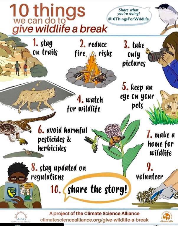 10 things we can do to give wildlife a break.