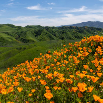 Chino Hills State Park Expansion Bill (AB 2021)