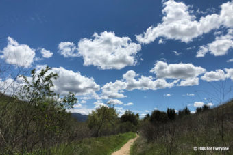 A Walk In the Park