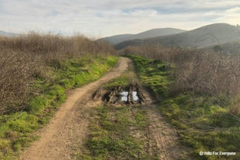 Trail Closures