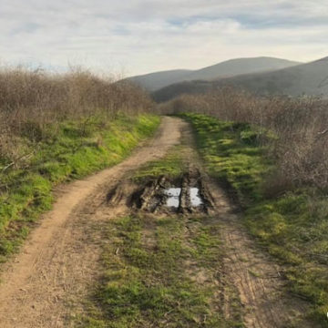 Avoid Trails When Wet/Drying