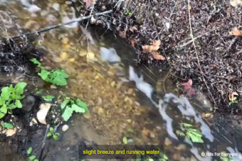 Stream Flows