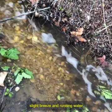 Stream Flows